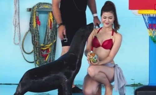 Chân dung nữ MC Việt mặc bikini dẫn chương trình gây tranh cãi ảnh 3