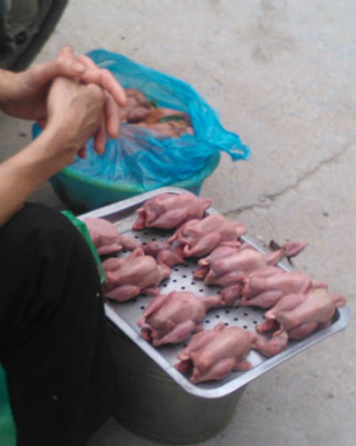 Chim ở đây được bán với giá 10.000 đồng- 13.000 đồng/con, đã làm sẵn, bên trong đã có sẵn các loại rau gia vị. Chim ở đây được bán với giá 10.000 đồng- 13.000 đồng/con, đã làm sẵn, bên trong đã có sẵn các loại rau gia vị