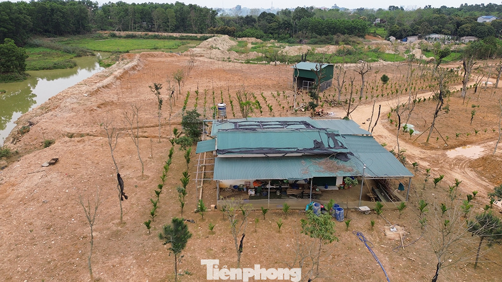 Căn nhà đối tượng Nguyễn Xuân Thực dựng trên đất chiếm dụng Căn nhà đối tượng Nguyễn Xuân Thực dựng trên đất chiếm dụng