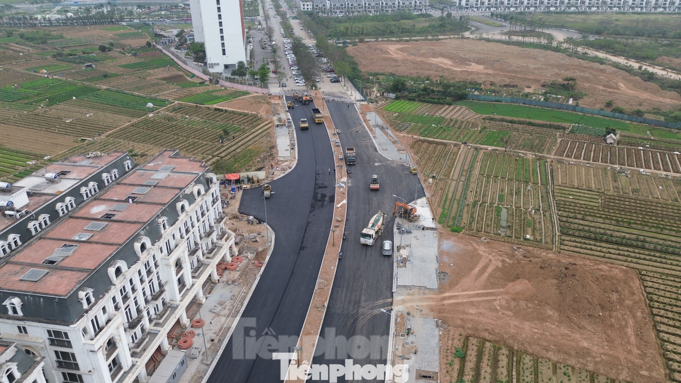 Theo thiết kế, tuyến đường có tiêu chuẩn đường liên khu vực với vận tốc 60km/h. Quy mô mặt cắt ngang là 40m, đáp ứng 6 làn xe.