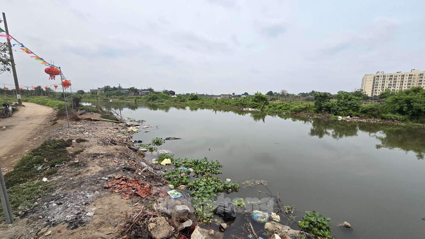 UBND phường Tây Tựu đã đề nghị UBND quận Bắc Từ Liêm có văn bản gửi UBND huyện Hoài Đức và huyện Đan Phượng để yêu cầu các doanh nghiệp dọc tuyến sông Pheo không xả thải gây ô nhiễm môi trường; đảm bảo cho sinh hoạt, sản xuất và trước mắt là để tổ chức lễ hội bơi Đăm truyền thống năm 2025.