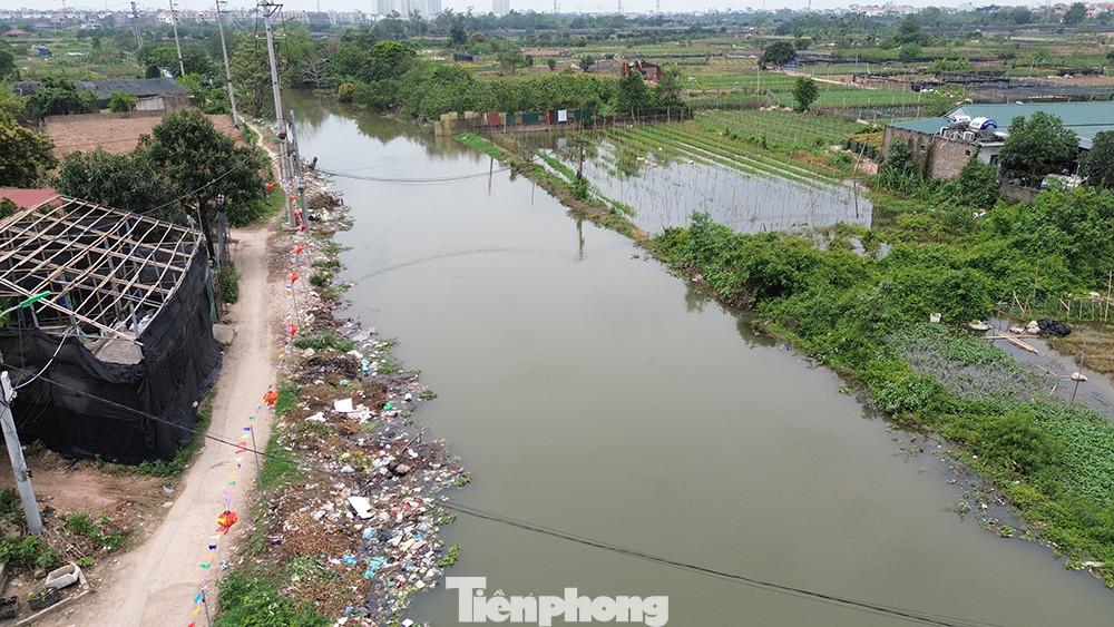 Ngay sau khi Xí nghiệp thủy lợi Đan Hoài (huyện Hoài Đức) bổ cập nước sông Hồng, màu nước sông Pheo đã được cải thiện.