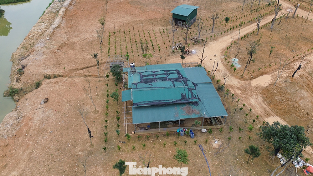 Trên khu vực đất chiếm dụng, vợ chồng đối tượng Nguyễn Xuân Thực dựng căn nhà để sinh hoạt, quản lý.