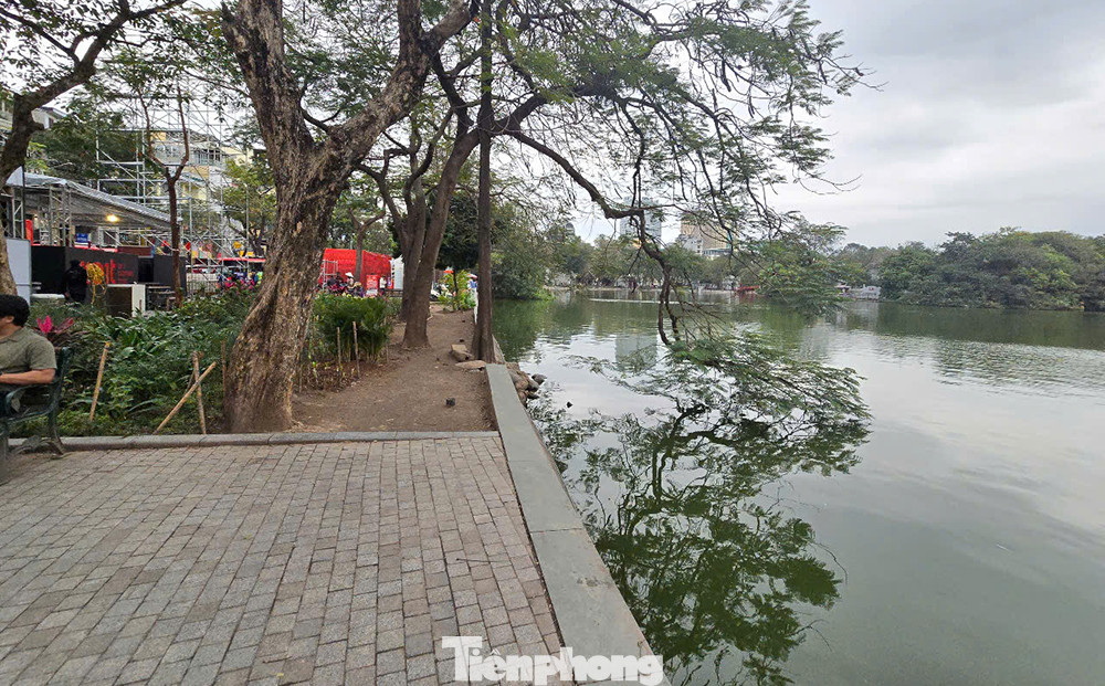 Trao đổi với báo Tiền Phong, ông Nguyễn Hồng Dũng, Chủ tịch UBND phường Hàng Bạc (quận Hoàn Kiếm) cho rằng, việc phá bỏ tòa nhà Hàm cá mập sẽ giúp cho không gian, cảnh quan khu vực quảng Trường Đông Kinh Nghĩa Thục được mở rộng hơn. Người dân khu vực này lân cận cũng rất phấn khởi, ủng hộ, mong muốn dự án sớm được triển khai.