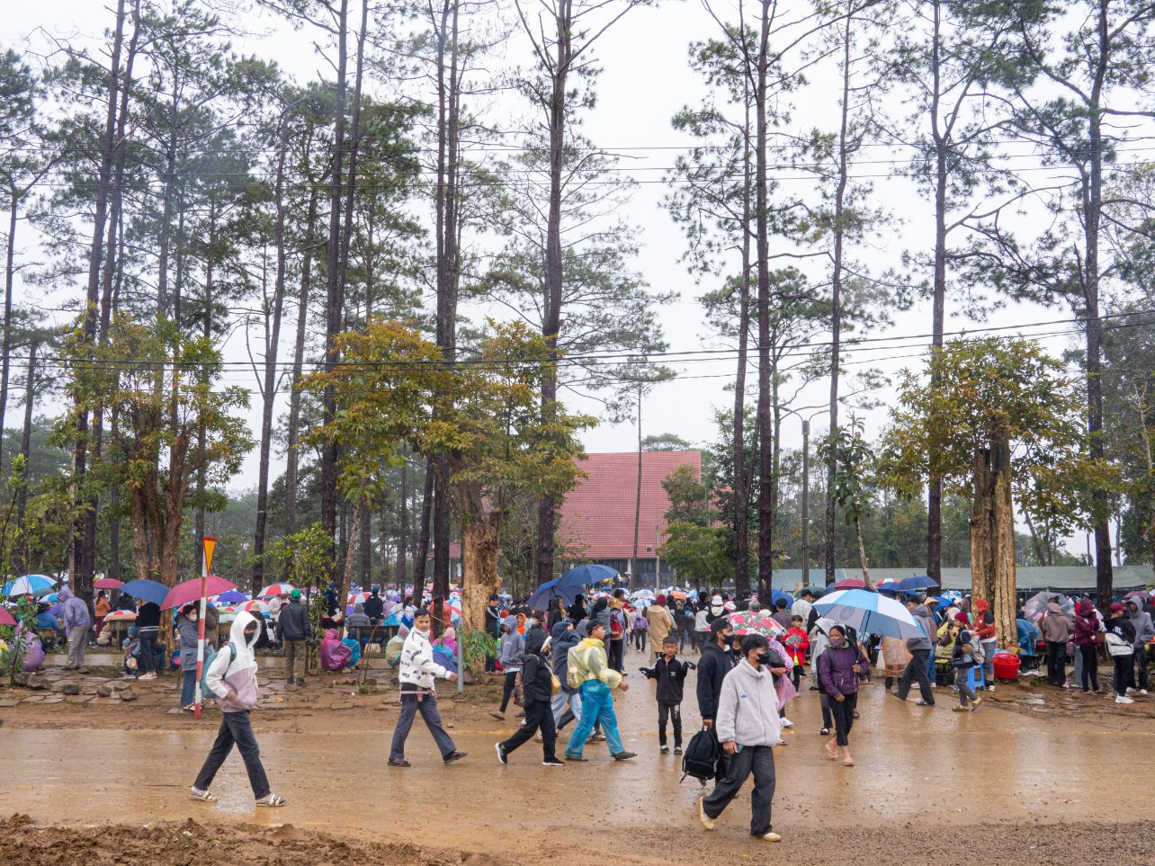 Ông Bùi Viết Hà - Chủ tịch Hội Du lịch Măng Đen bày tỏ: "Sự kiện năm nay được tổ chức vô cùng bài bản, trật tự và khoa học. Dù lượng khách đến với thị trấn Măng Đen trong 2 ngày tăng cao, nhưng mọi dịch vụ, cơ sở hạ tầng đều được đáp ứng đầy đủ. Đặc biệt, không có trường hợp hàng quán tăng giá, chèn ép khách hàng".