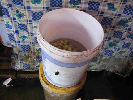 Đồ ăn sẵn hứng bụi bên đường. Ảnh: MH