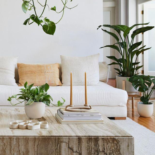 Một chút cây xanh làm cho nhà bạn có sức sống hơn. Một chút cây xanh làm cho nhà bạn có sức sống hơn.