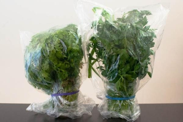 Đây là cách tốt nhất để giữ cho các loại rau thơm như húng quế, ngò và hẹ tươi lâu nhất.
