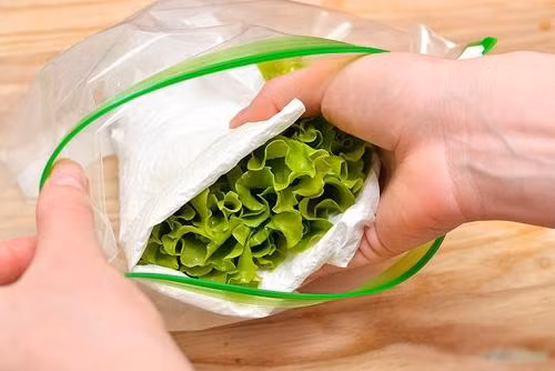 Khăn giấy hút nước và độ ẩm, giúp cho rau tươi lâu hơn trong tủ lạnh.