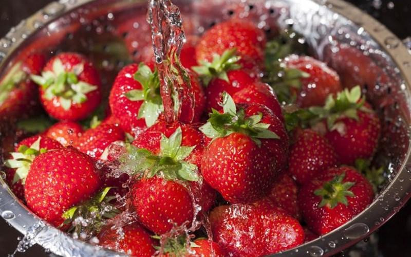 Với cách này, quả mâm xôi sẽ để được một tuần hoặc hơn, còn dâu tây sẽ để được gần hai tuần mà không bị mốc và mềm nhũn.