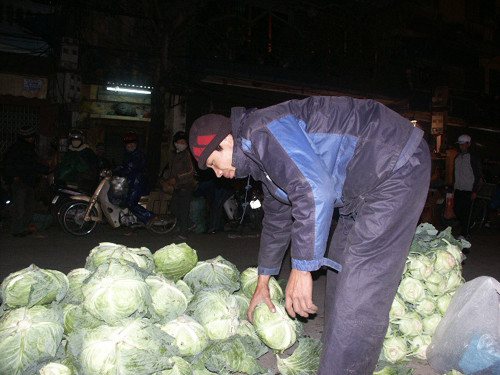 Anh Tân ở huyện Thanh Hà (Hải Dương) nói “bắp cải to như thế này nhưng chỉ bán có 2 nghìn đồng/ cái thôi”