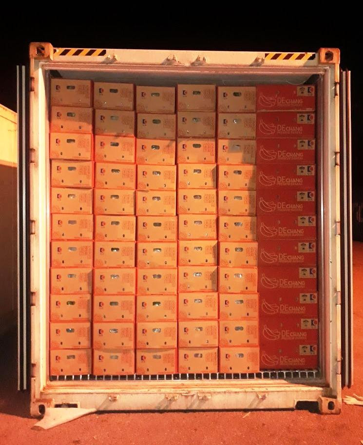 Trái cây được đưa vào container lạnh vận chuyển từ nông trường về cảng Chu Lai