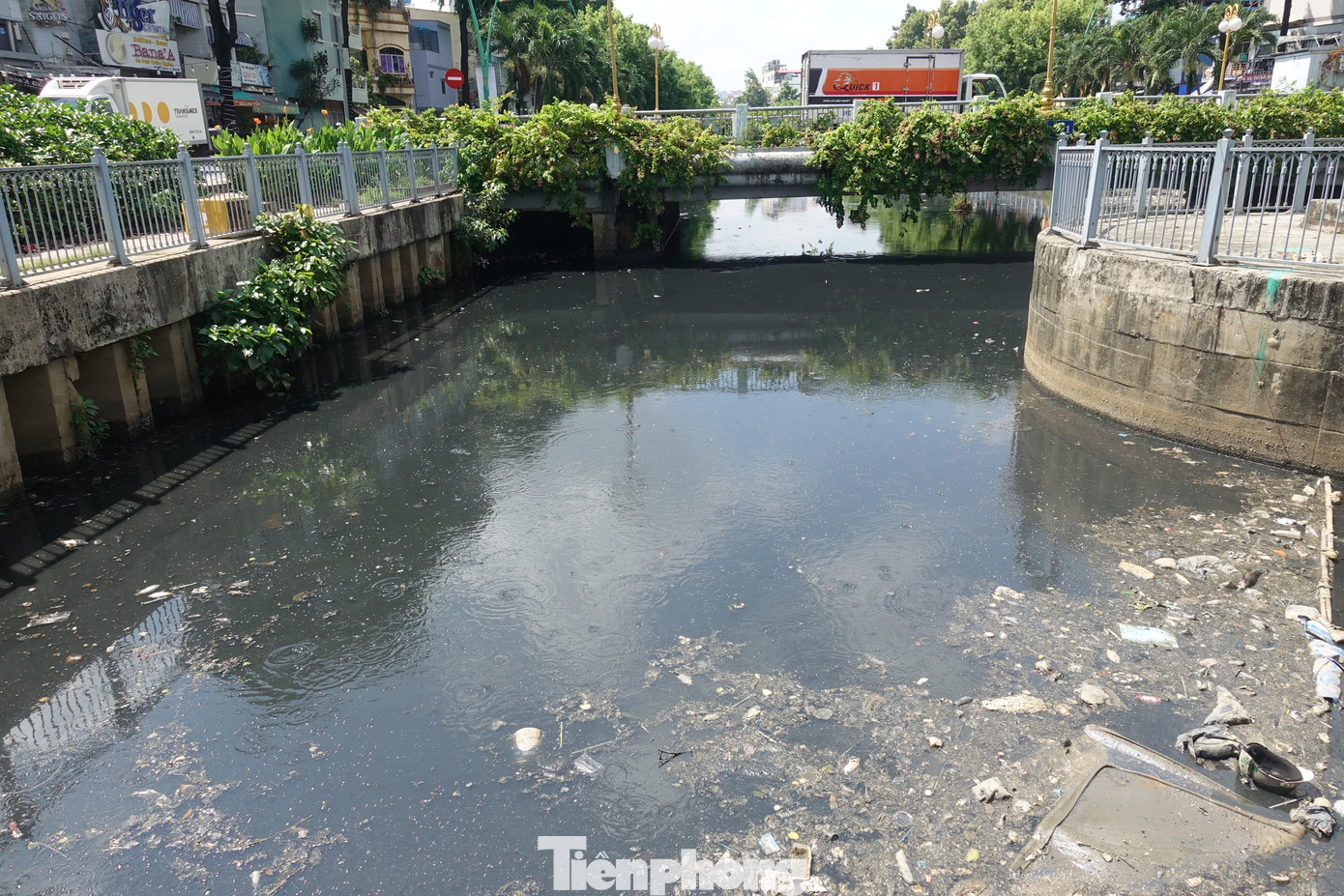 “Đoạn kênh qua đây có nhiều bùn, nước đen ngòm. Cá chết sau mưa lớn thì năm nào cũng xảy ra. Bình thường cứ sau một đợt nắng nóng và có mưa lớn thì cá lại chết. Rác thải, nước bẩn ô nhiễm sau mưa thì cá gì sống được”- anh Nguyễn Trọng Nguyên (nhà ở đường Hoàng Sa, phường 5, quận Tân Bình) chia sẻ.