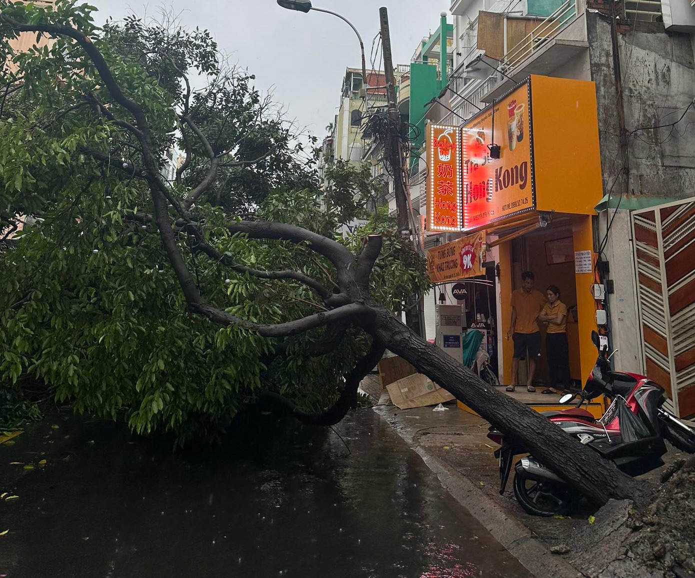 Trong cơn mưa dông, một số cây xanh đã bị gãy, đổ. Hình ảnh cây xanh trước số nhà 164 Nguyễn Biểu, phường 2, quận 5 bị cây xanh bật gốc.