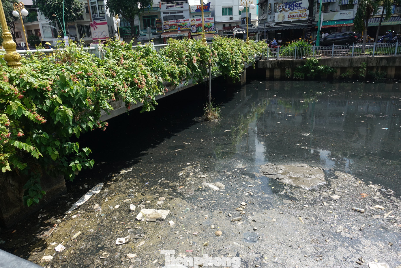 Rác thải cùng xác cá nổi trên kênh Nhiêu Lộc - Thị Nghè (đoạn qua cầu số 1, quận Tân Bình).