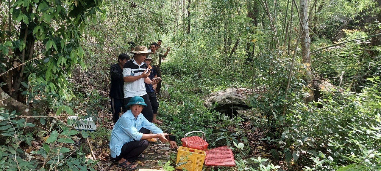 Theo một cán bộ kiểm lâm TPHCM, 28 cá thể động vật trên do người dân và các tổ chức tự nguyện giao nộp cho Chi cục Kiểm Lâm TPHCM.