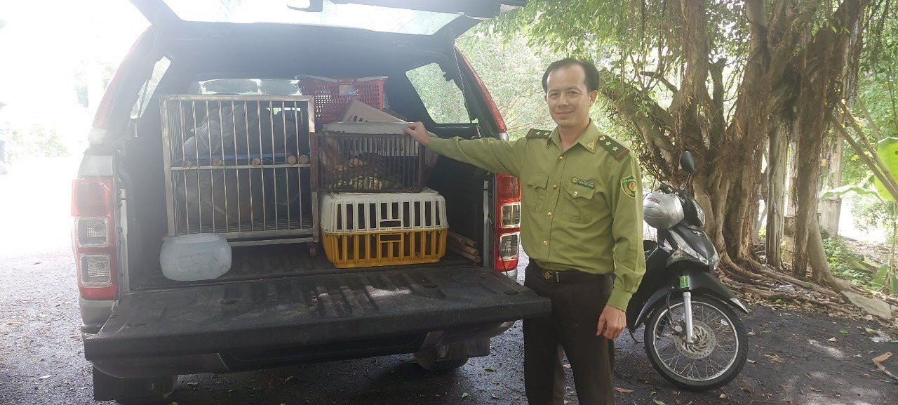 Ngày 26/5, nguồn tin từ Chi cục Kiểm Lâm TPHCM cho biết đơn vị vừa phối hợp với Ban quản lý Vườn quốc gia Phước Bình (tỉnh Ninh Thuận) tiến hành thả 28 cá thể động vật hoang dã về môi trường tự nhiên.