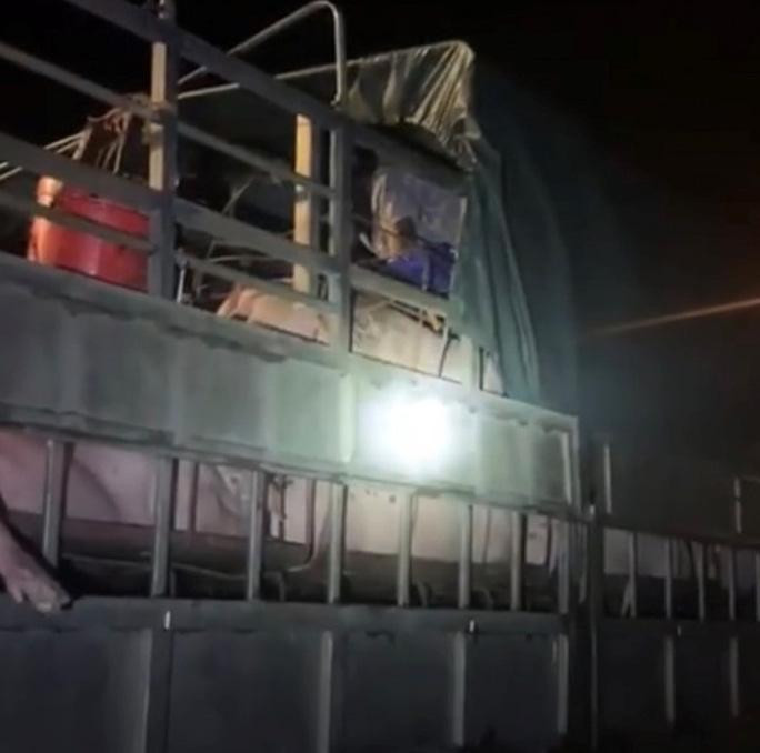 Nhiều người trốn trên xe chở lợn qua chốt kiểm dịch. Nhiều người trốn trên xe chở lợn qua chốt kiểm dịch.