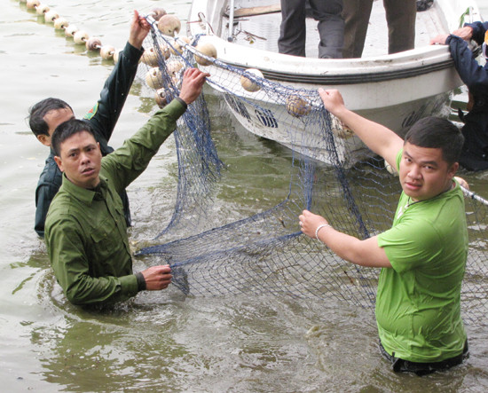 Cuối cùng thất bại vì Rùa ra thoát khỏi lưới