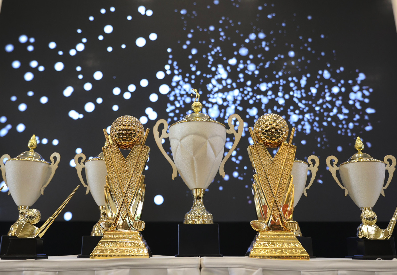 Giải Vô địch Golf Quốc gia năm 2023 – Cúp VinFast: Tiếp nối những kỳ tích ảnh 2