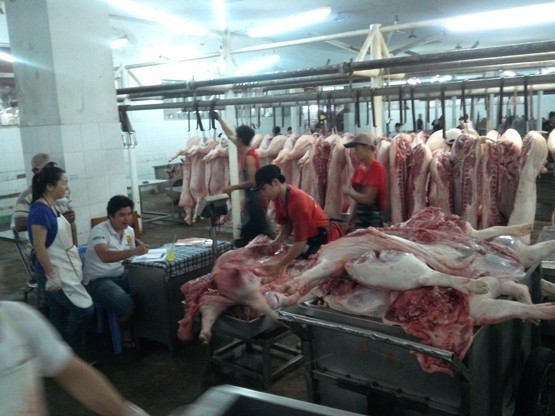 Cũng vì vậy mà giá từ chợ này so với giá đến tay người tiêu dùng cách xa nhau 