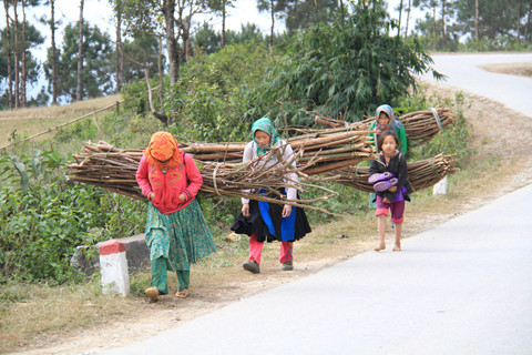 Bé gái đi kiếm củi cùng người làng. Ảnh: Trường Phong. 