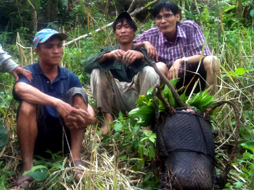 Anh em "người rừng" vào thăm lại căn chòi lá trên cây và rẫy, nơi Lang cùng cha sống hoang dã giữa rừng sâu 40 năm qua. Anh em