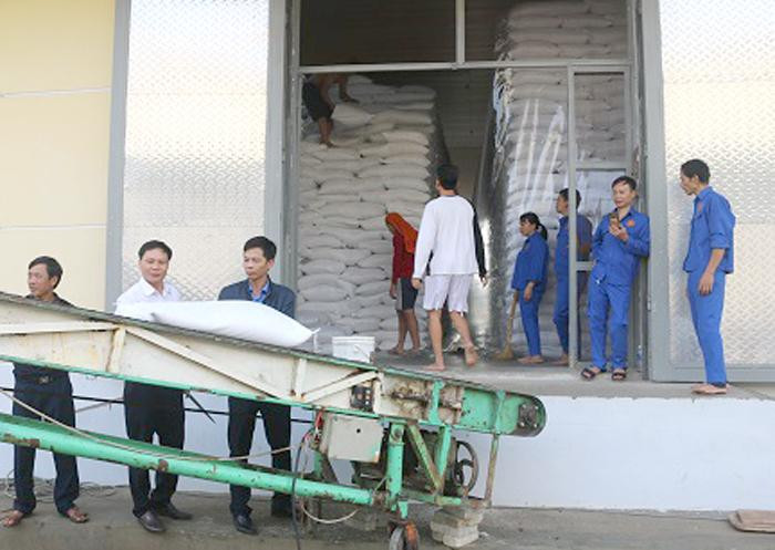 Tiếp tục đề xuất cấp gạo miễn phí từ kho dự trữ quốc gia để hỗ trợ người dân thiếu đói dịp Tết và mùa giáp hạt năm 2022. Tiếp tục đề xuất cấp gạo miễn phí từ kho dự trữ quốc gia để hỗ trợ người dân thiếu đói dịp Tết và mùa giáp hạt năm 2022.