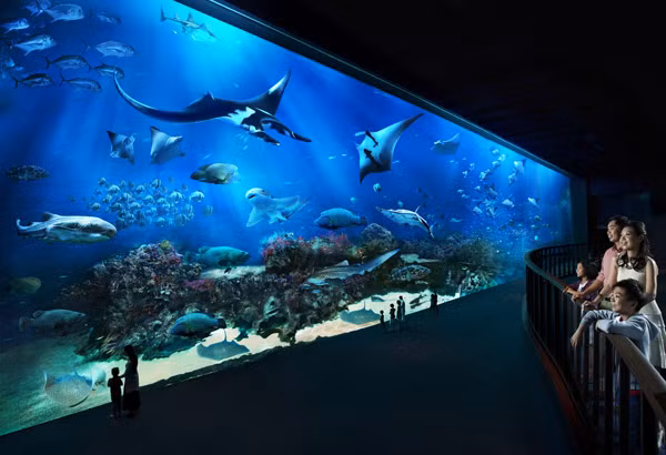  Thủy cung nằm ở đảo Sentosa, rất ấn tượng với thế giới đại dương sinh động. Đây được xem là thủy cung lớn nhất thế giới, trưng bày hơn 100.000 sinh vật biển thuộc 800 loài. Ngoài ra, còn có tới 20.000 loại san hô. Nơi đây cũng có dòng sông lười dài nhất thế giới, khoảng 620 mét