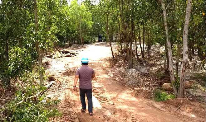 Bộ Công an đề nghị kiểm tra 2 dự án 2 triệu m2 của Alibaba ảnh 1