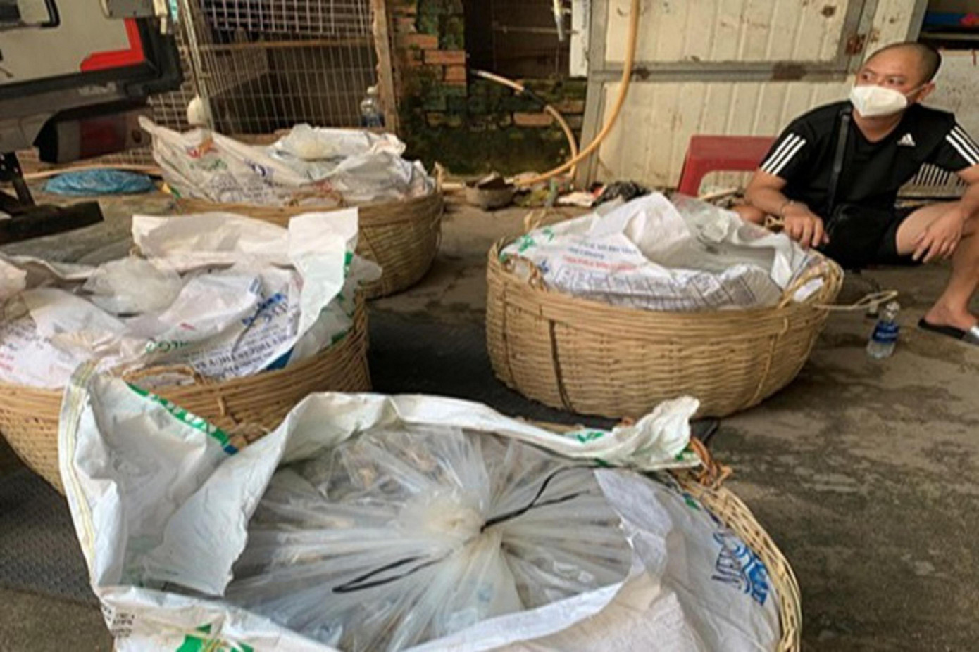 Ma tuý giấu trong giỏ mắm cá, vận chuyển bằng xe tải "luồng xanh" từ Campuchia về TPHCM. Ma tuý giấu trong giỏ mắm cá, vận chuyển bằng xe tải "luồng xanh" từ Campuchia về TPHCM.