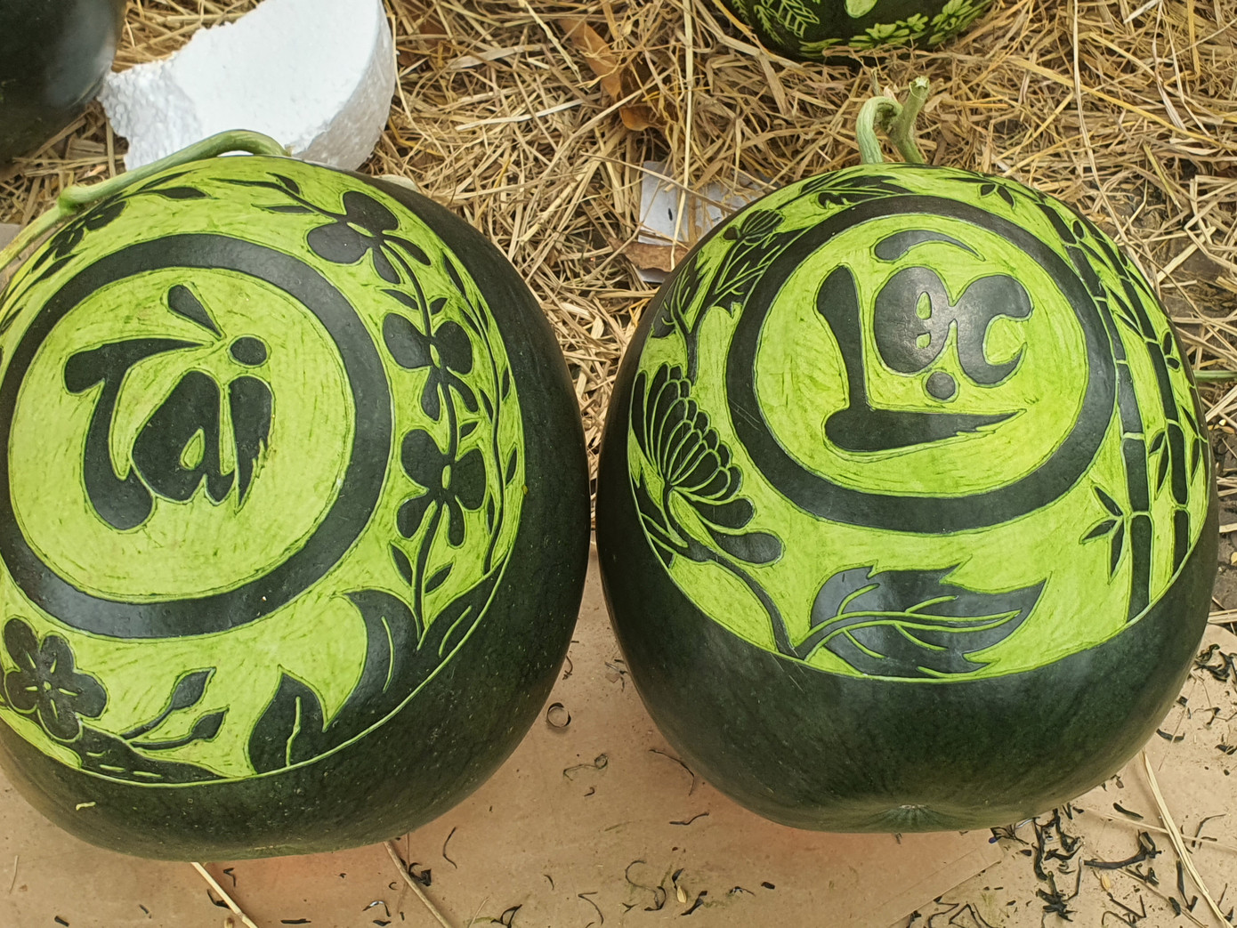 Mỗi cặp dưa hấu như thế được bán với giá 750.000 đồng/cặp.