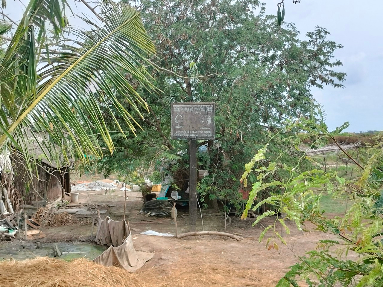 Căn nhà người dân nằm ven đê chịu nhiều thiệt thòi mỗi khi nước tràn qua đê.