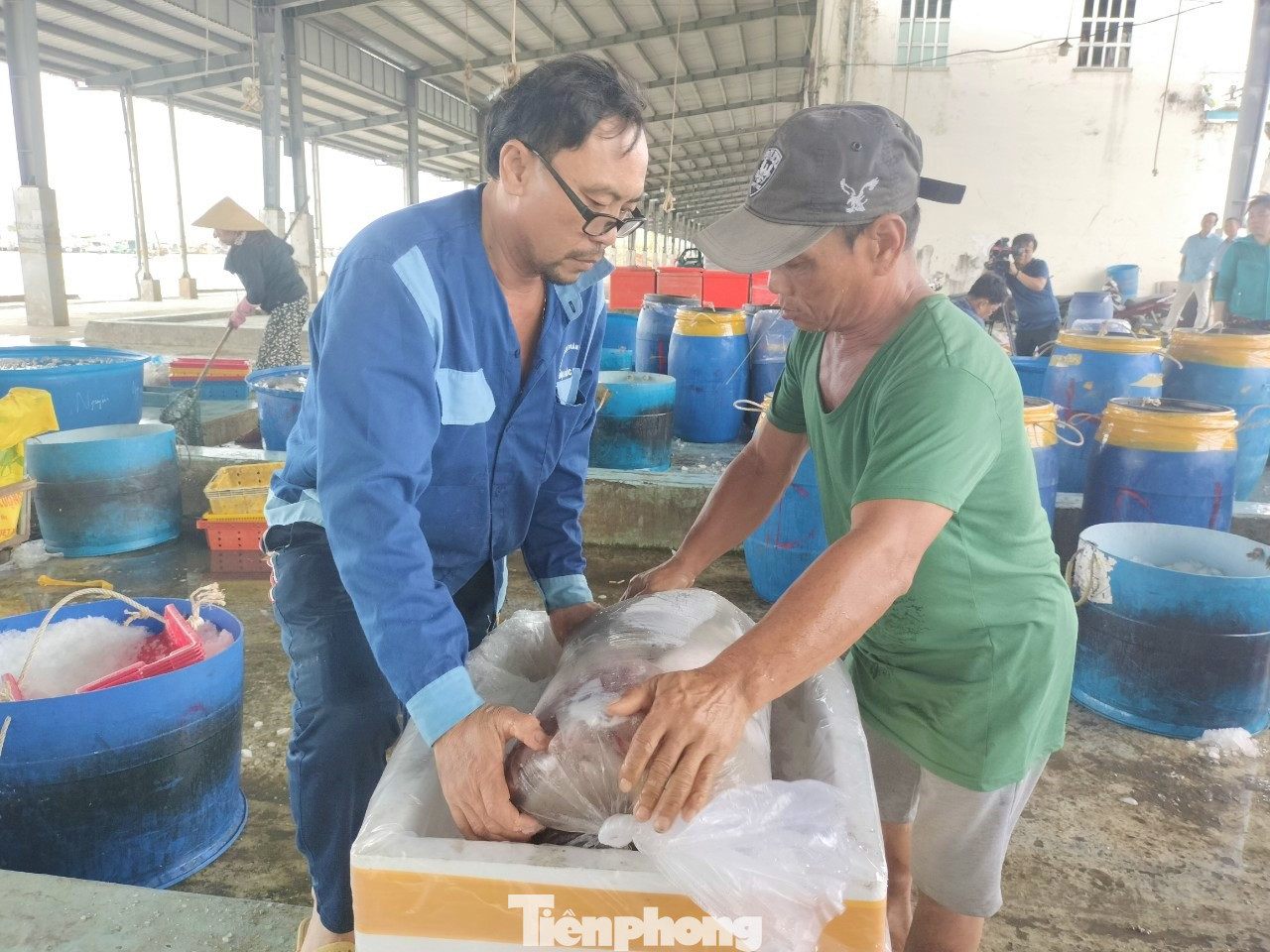 Trung bình mỗi ngày, lao động địa phương đóng khoảng 500 – 700kg mực các loại cho khách hàng.