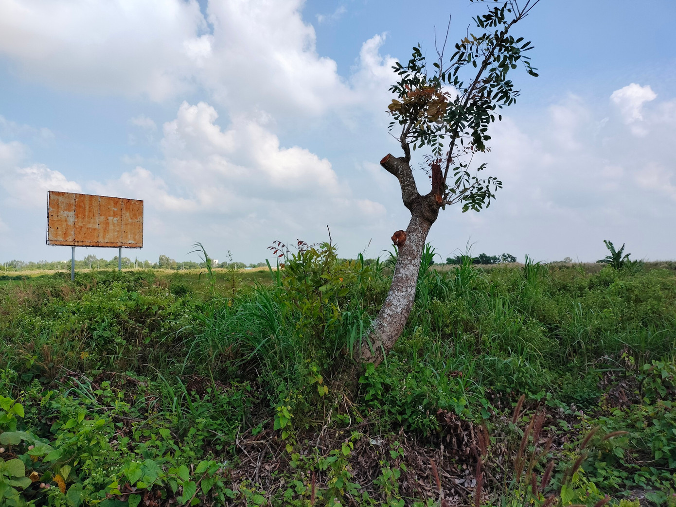 Khu đất được giao dự kiến thực hiện dự án đầu tư xây dựng Bệnh viện Đa khoa tư nhân Bạc Liêu – Sài Gòn. Khu đất được giao dự kiến thực hiện dự án đầu tư xây dựng Bệnh viện Đa khoa tư nhân Bạc Liêu – Sài Gòn.