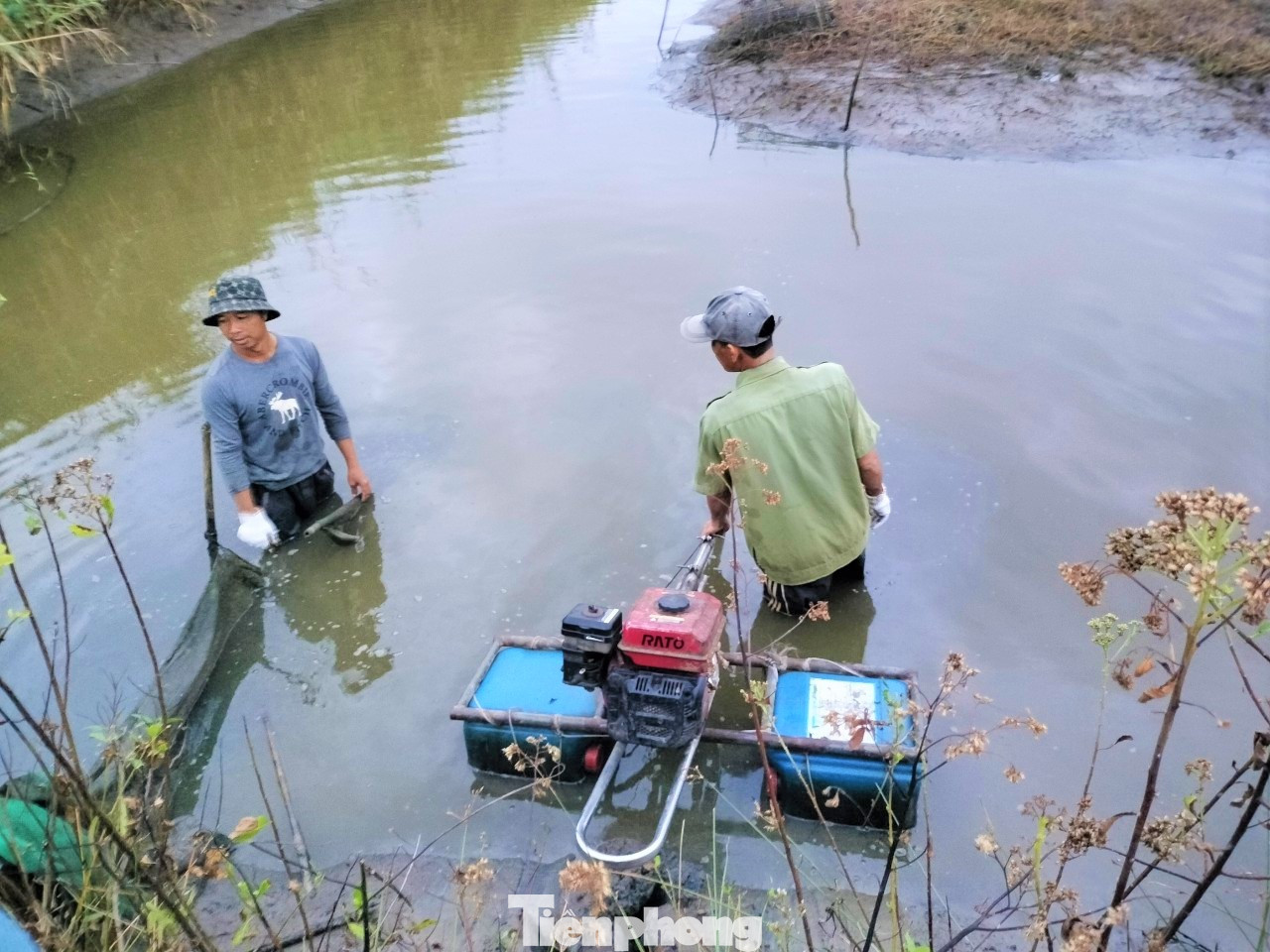 Để bắt được tôm, chủ vuông phải dùng máy chạy sục bùn dưới đáy vuông để làm đục nước, khiến cho tôm bị thiếu ô xy tấp vào 2 mép bờ vuông. Cứ thế, những thanh niên được phân công bắt tôm ở phía sau tha hồ chụp tôm bỏ vào thùng xốp hoặc bao đựng mang theo.