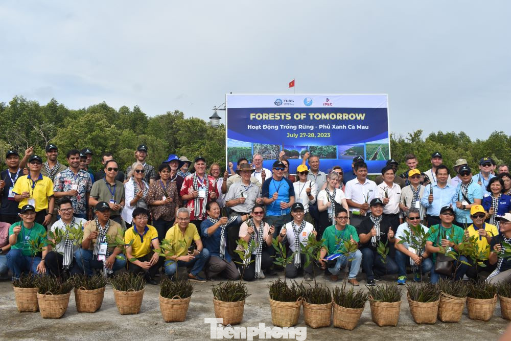 Đoàn tham gia hoạt động trồng rừng tại Khu du lịch Mũi Cà Mau.