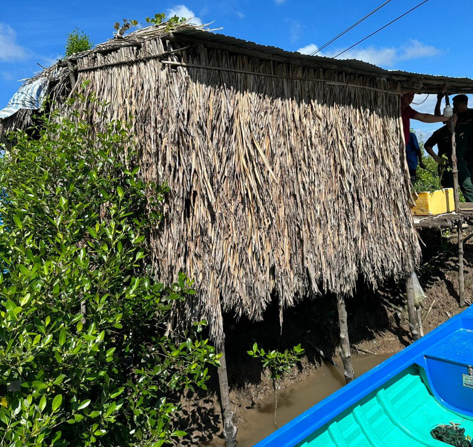 Căn chòi giữ vuông tôm của ông P.. Căn chòi giữ vuông tôm của ông P..