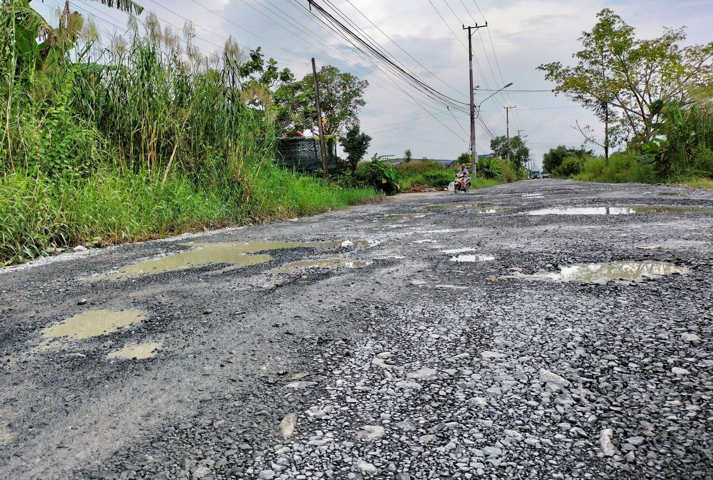 Nhiều "ổ gà, ổ voi" xuất hiện chi chít trên mặt đường. Người dân mong muốn tuyến đường được sửa chữa để đảm bảo an toàn giao thông, tránh những tai nạn đáng tiếc xảy ra.
