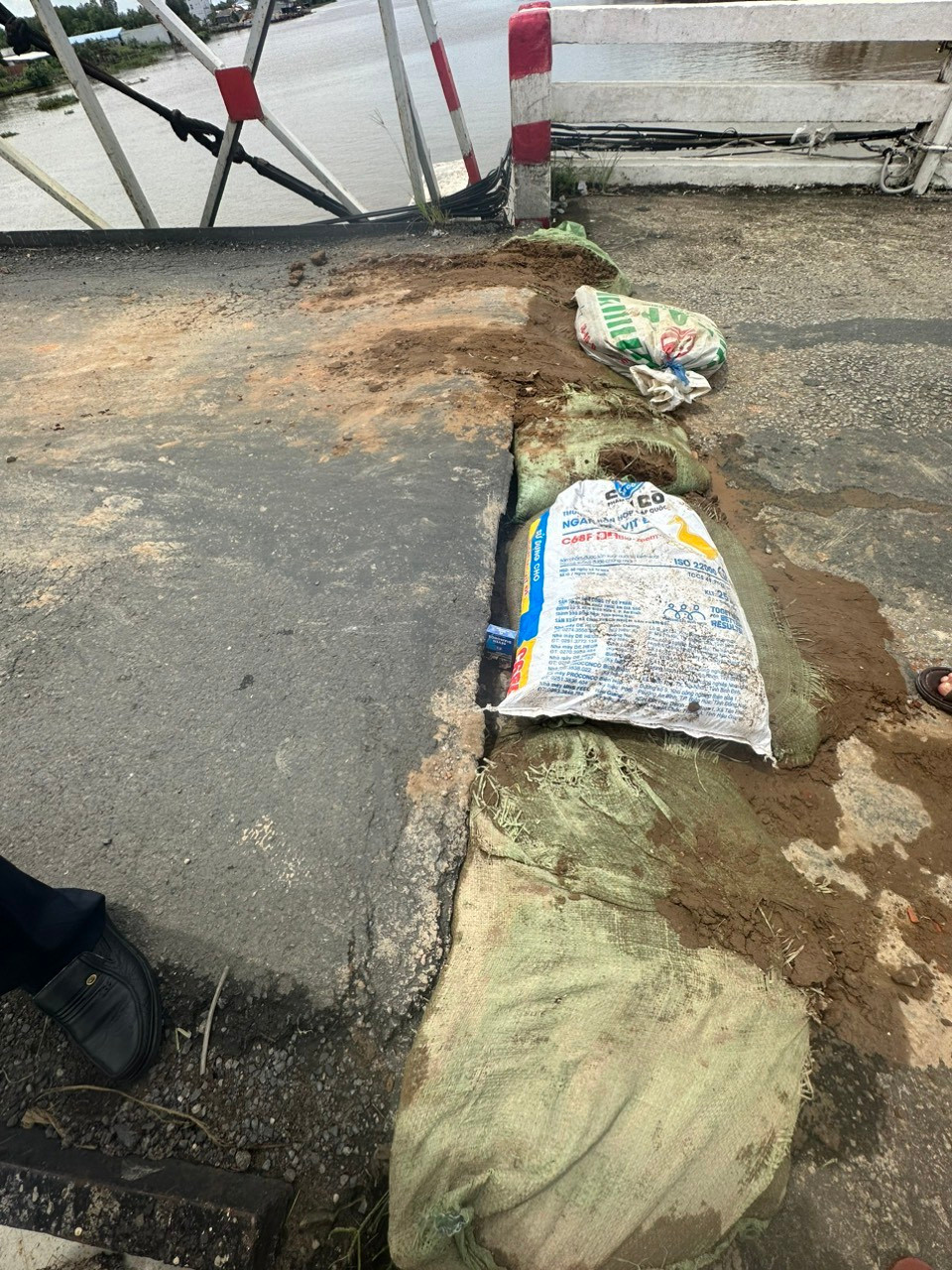 Sau sự cố, ông Trần Tấn Công, Chủ tịch UBND huyện Trần Văn Thời cho biết, đã chỉ đạo cơ quan chức năng phối hợp cùng nhà đầu tư đánh giá mức độ thiệt hại, mức độ an toàn của cầu treo Rạch Ráng.