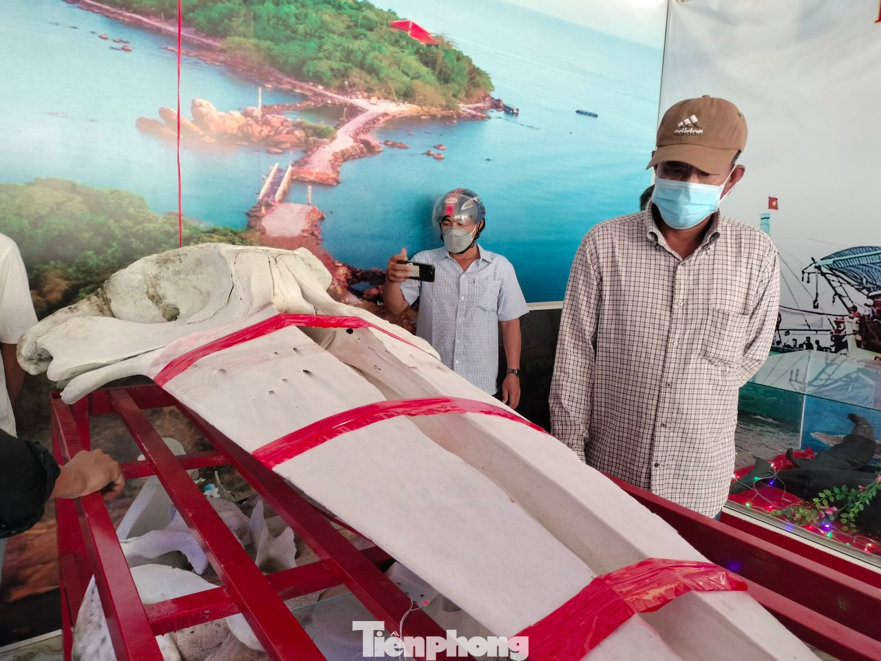 Anh Trần Tuấn Anh, thuyền trưởng tàu cá đăng ký đi Nghinh Ông chia sẻ: “Năm nay, lễ hội Nghinh Ông diễn ra trang trọng, cầu cho mưa thuận gió hòa, ngư dân ra khơi may mắn, đánh bắt cá tôm được an hòa. Lễ hội thu hút du khách các tỉnh Bình Dương, TPHCM, Long An, Bà Rịa – Vũng Tàu tham dự rất đông”.