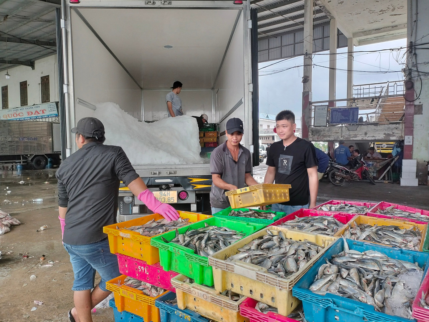 Cảng cá Sông Đốc được công bố là cảng chỉ định xác nhận nguồn gốc hải sản khai thác.