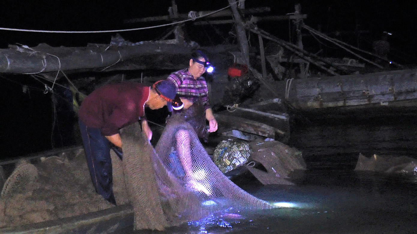 Nghề đóng đáy không chỉ cực nhọc ở việc phải quay nài (dụng cụ quay thả lưới), thả chui (thả cho lưới chìm xuống đáy), thậm chí phải dầm mưa khi đổ đục (thu đáy), giặt đáy, phơi đáy mà còn đòi hỏi người coi đáy phải có kinh nghiệm lúc nào thả và thu đáy. Nghề đóng đáy không chỉ cực nhọc ở việc phải quay nài (dụng cụ quay thả lưới), thả chui (thả cho lưới chìm xuống đáy), thậm chí phải dầm mưa khi đổ đục (thu đáy), giặt đáy, phơi đáy mà còn đòi hỏi người coi đáy phải có kinh nghiệm lúc nào thả và thu đáy.