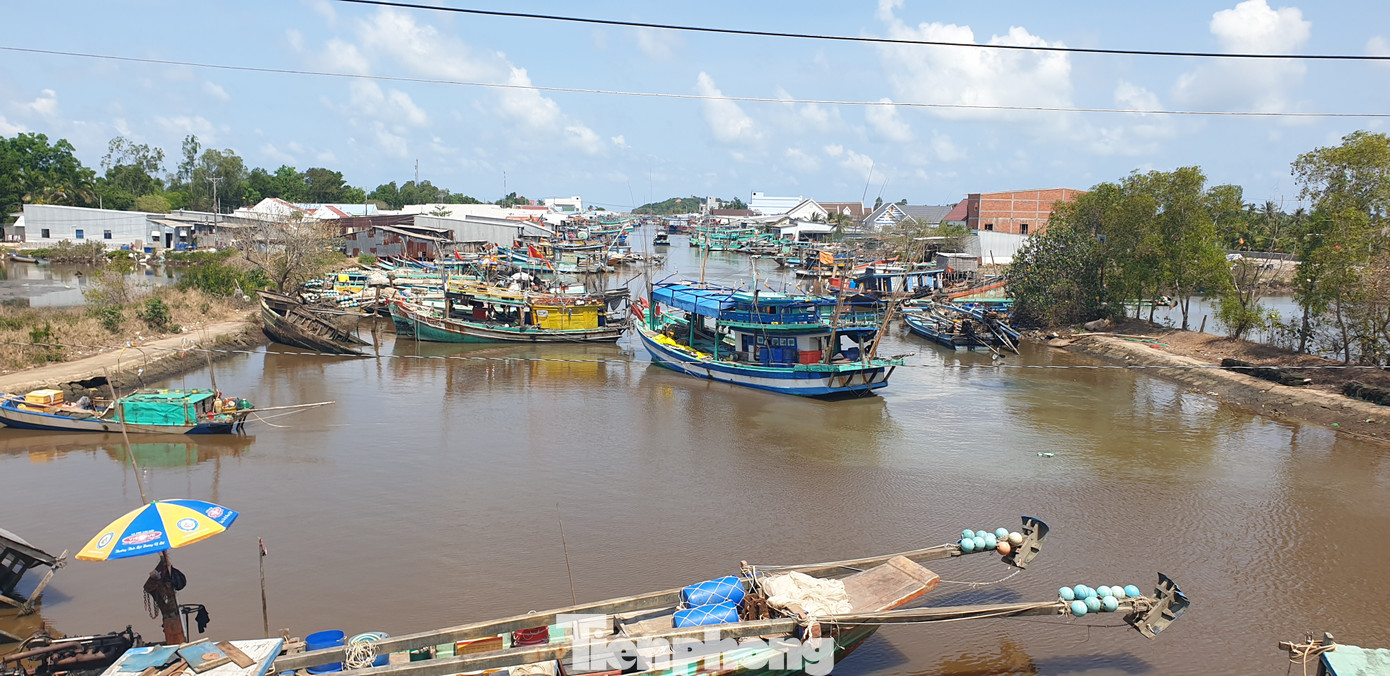 Nhờ việc tôn tạo, kiên cố hóa tuyến đê biển Tây nên phần lớn diện tích đất sản xuất, hoa màu của người dân không bị ảnh hưởng. Nhờ việc tôn tạo, kiên cố hóa tuyến đê biển Tây nên phần lớn diện tích đất sản xuất, hoa màu của người dân không bị ảnh hưởng.
