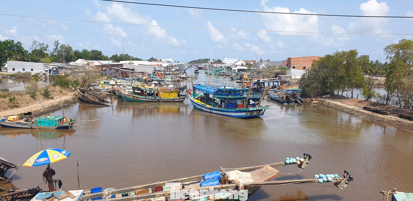 Nhờ việc tôn tạo, kiên cố hóa tuyến đê biển Tây nên phần lớn diện tích đất sản xuất, hoa màu của người dân không bị ảnh hưởng.