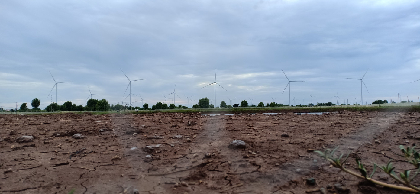 Bạc Liêu có 10 dự án Nhà máy điện gió đã và đang được đầu tư với tổng công suất là 660,2 MW.