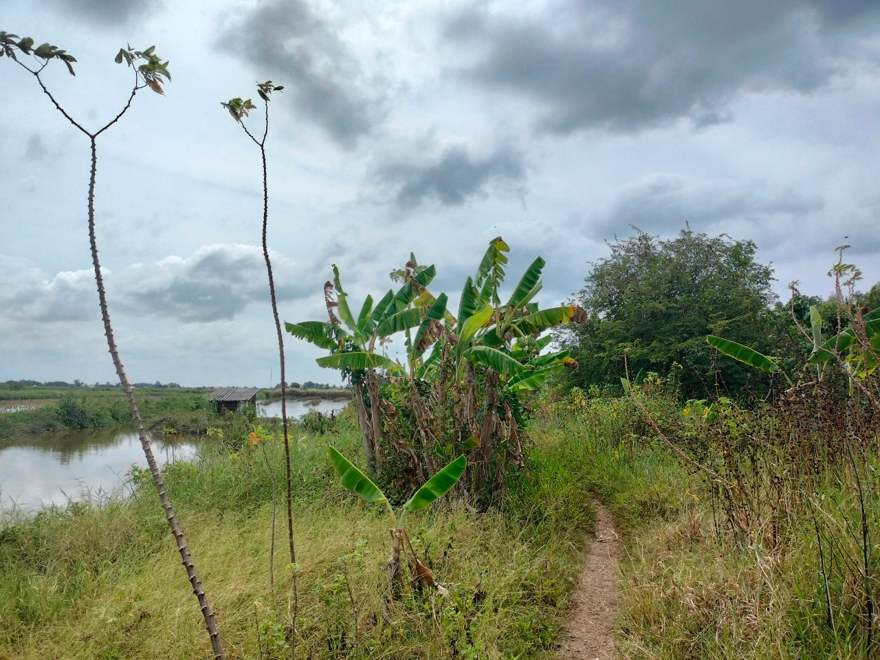 Đoạn đê biển Tây từ Khánh Hội đến Hương Mai khoảng 10km chưa được đầu tư khiến việc đi lại của người dân gặp nhiều khó khăn.