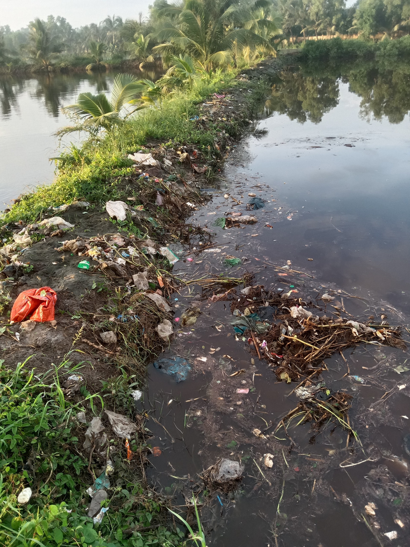 Rác thải tràn vào vuông tôm của hộ dân xung quanh nhà máy rác.