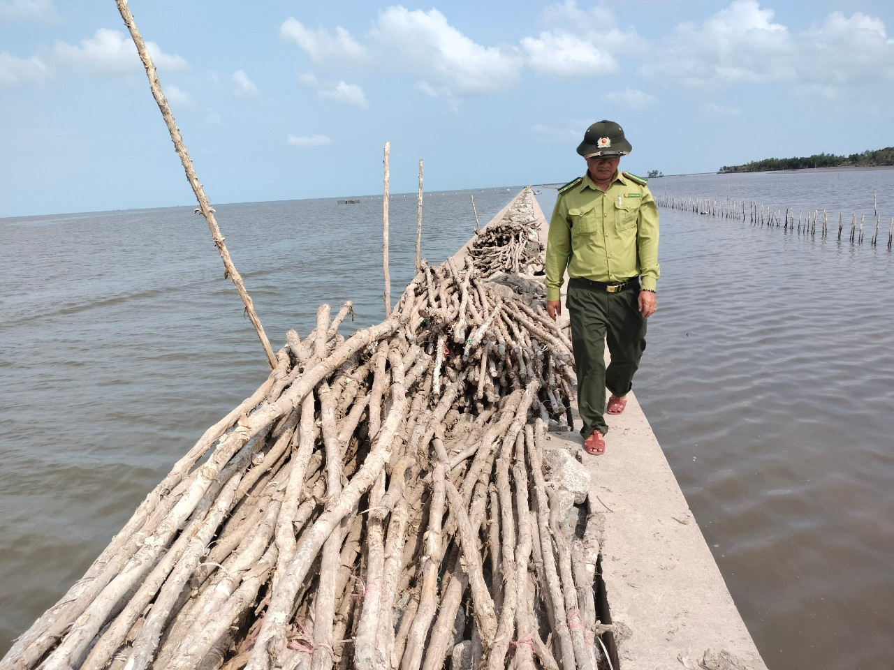 Chủ tịch UBND tỉnh Cà Mau phải ba lần phát công văn chỉ đạo thì việc tháo dỡ công trình bao chiếm đất rừng phòng hộ ven biển để nuôi sò huyết mới được xử lý dứt điểm.