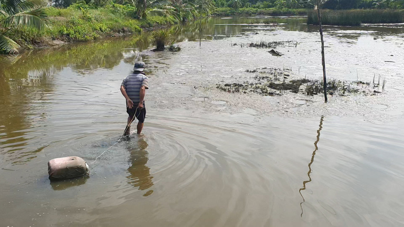 Ông Quyền cho biết, lịch trong vuông tôm và lịch dưới sông ông đều bắt được. Lịch bắt bằng tay sẽ có giá hơn lịch câu bởi có thể sống được nhiều ngày, vận chuyển đi xa được.